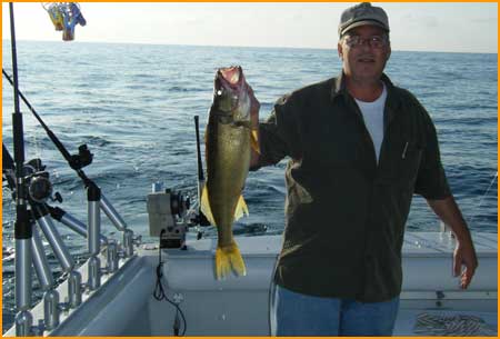 Walleye